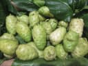 Noni